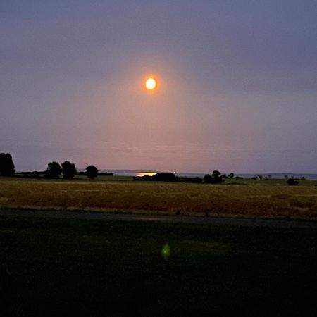 Munkgaard Inn & Outdoor Rodvig ภายนอก รูปภาพ